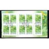Carnet flora 1999  aland