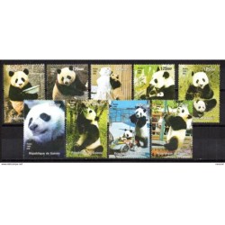 Serie de osos panda guinee