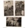 3 Tarjetas postales de gente  1933 laboratorio palomera Alcoy