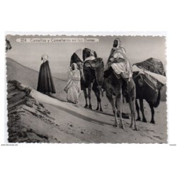 Tarjeta postal  de camellos y camelleros en las dunas