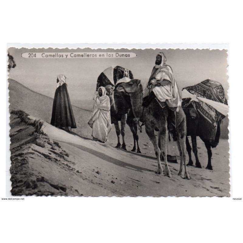Tarjeta postal  de camellos y camelleros en las dunas