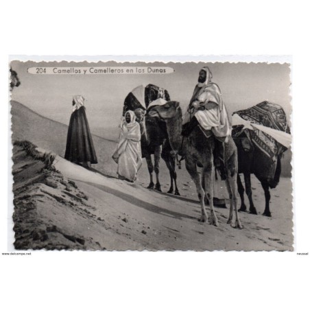 Tarjeta postal  de camellos y camelleros en las dunas