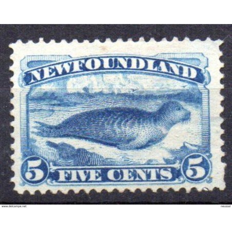 Sello n 38 newfoundland