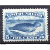 Sello n 38 newfoundland