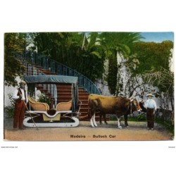 Tarjeta postal de madeira  bullock car