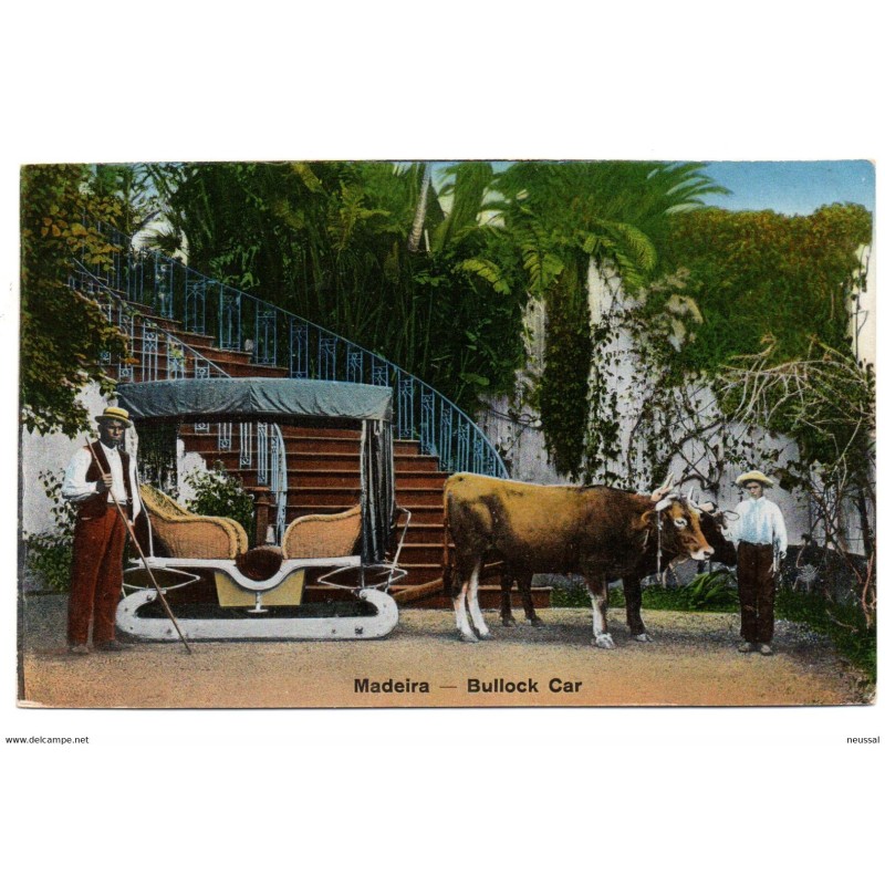 Tarjeta postal de madeira bullock car Tarjeta postal de madeira bullock car