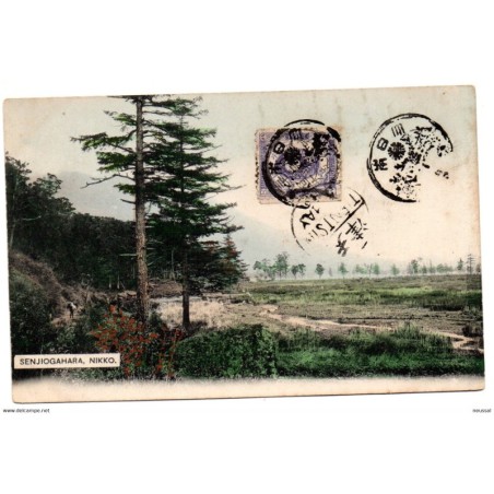 Tarjeta postal de  nikko circulada