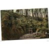 Tarjeta postal de  black spur road healesville