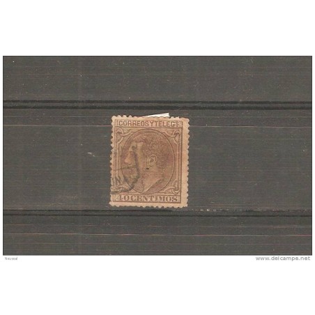 N 205