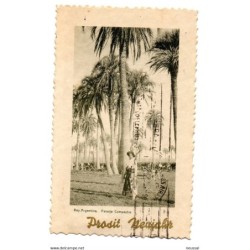 Tarjeta postal de argentina circulada registrada 1937