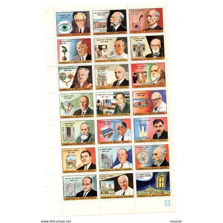 Pliego de homenaje medico español