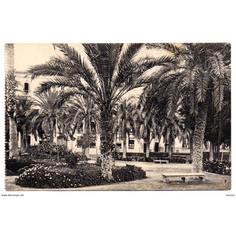 Tarjeta postal alicante paseo de ramiro Tarjeta postal alicante paseo de ramiro