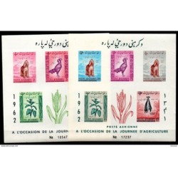 Hb223 sin dentar Afganistan