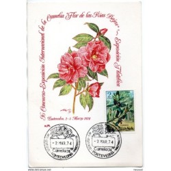 Tarjeta con matasellos de pontevedra de 1974