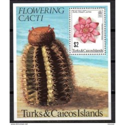 Hb31 turks and caicos