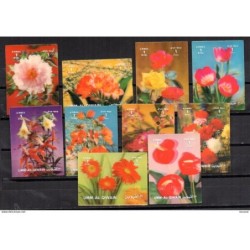 Serie de flores de umm al quiwaim