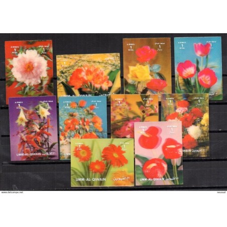 Serie de flores de umm al quiwaim