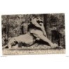 Tarjeta postal  circulada  1907  belfort  le lion