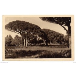 Postal   pins parasols de lesterel