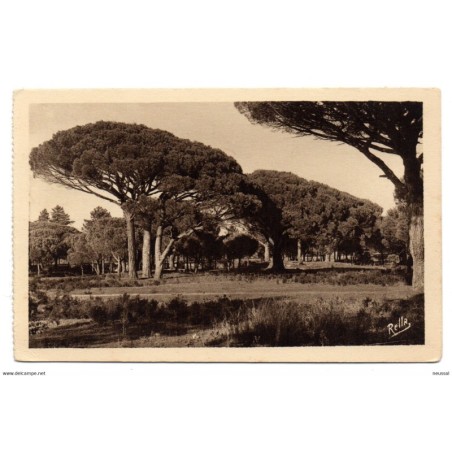 Postal   pins parasols de lesterel