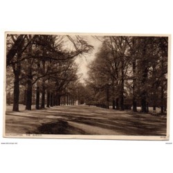 Postal  circulada de 1929  de southampton the avenue