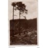 Postal original de una antigua colonia italiana circulada