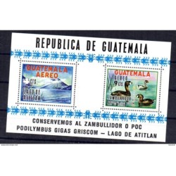 Hb11 Guatemala