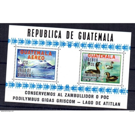 Hb11 Guatemala