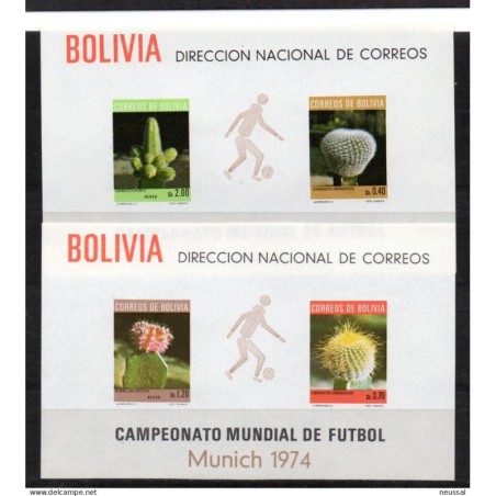 2 Hb de bolivia