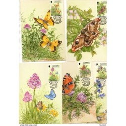 5 tarjetas maximas de mariposas alderney
