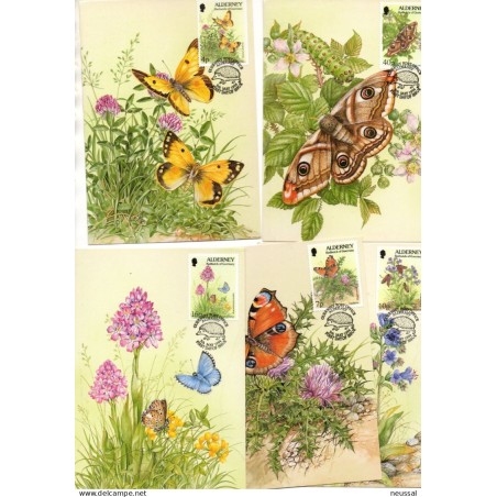 5 tarjetas maximas de mariposas alderney