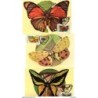 24 tarjetas maximas de mariposas rumania