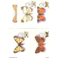 5 tarjetas maximas de mariposas  rusia