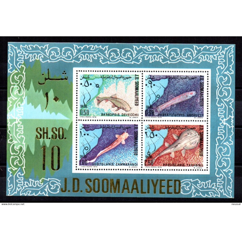 Hb8 somalia Hb8 somalia