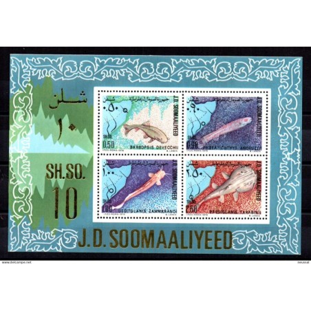 Hb8 somalia