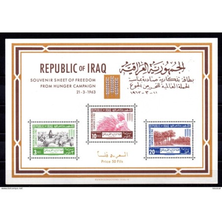 Hb4 Irak