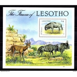 Hb47 Lesoto