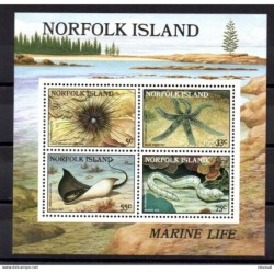 Hb9 Norfolk