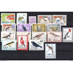 Ficha de pajaros sin clasificar