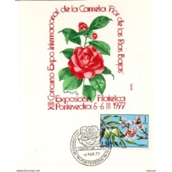 Tarjeta con matasellos commemorativo de concurso camelia de 1977