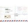 Carta de fiji de 1993