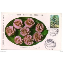 Tarjeta  con matasellos commemorativo  camelia de 1974