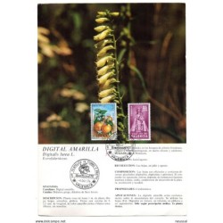 Tarjeta  con matasellos commemorativo iberflora de 1975