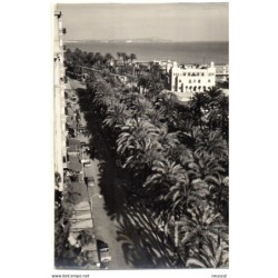 Foto postal de  explanada  de españa  alicante