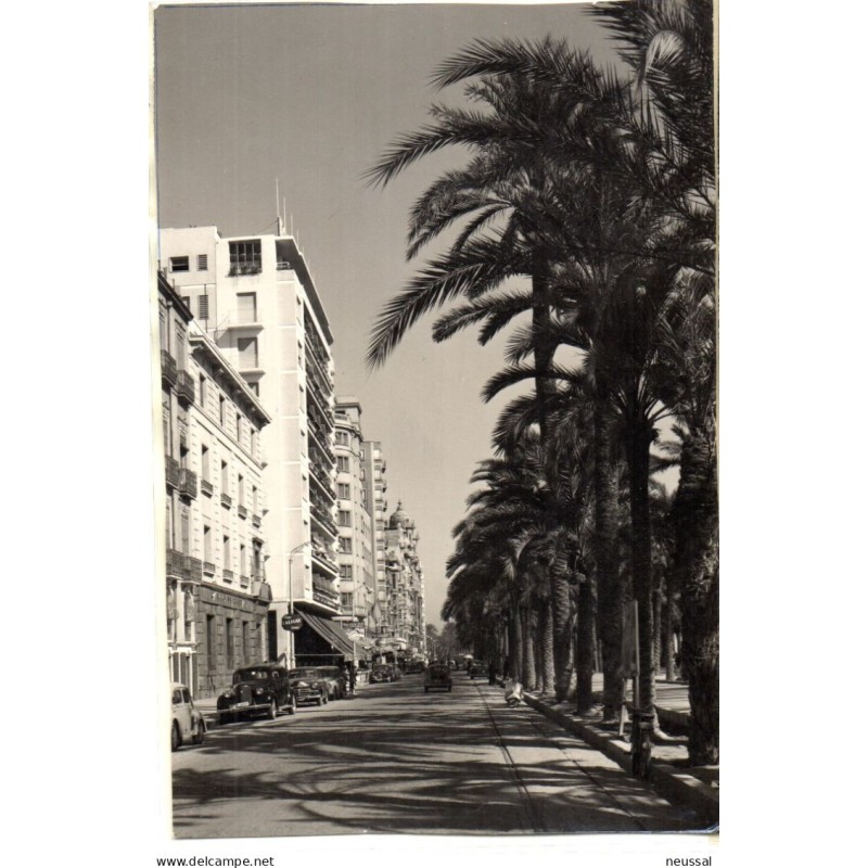 Foto esplanada de españa Alicante Foto esplanada de españa Alicante