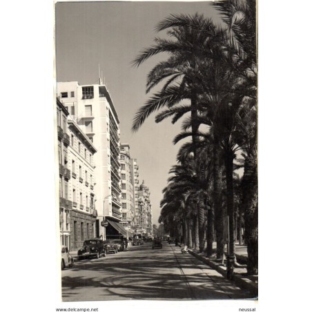 Foto esplanada de españa  Alicante