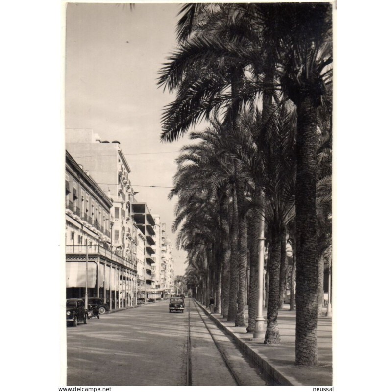 Foto de esplanada de españa Alicante Foto de esplanada de españa Alicante