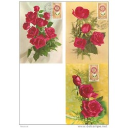 3 postales  de flores con sello