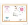 Sobres entero postal conmemorativos oficiales  n 11  usado