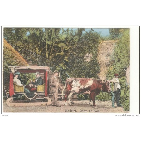 Tarjeta postal  madeira